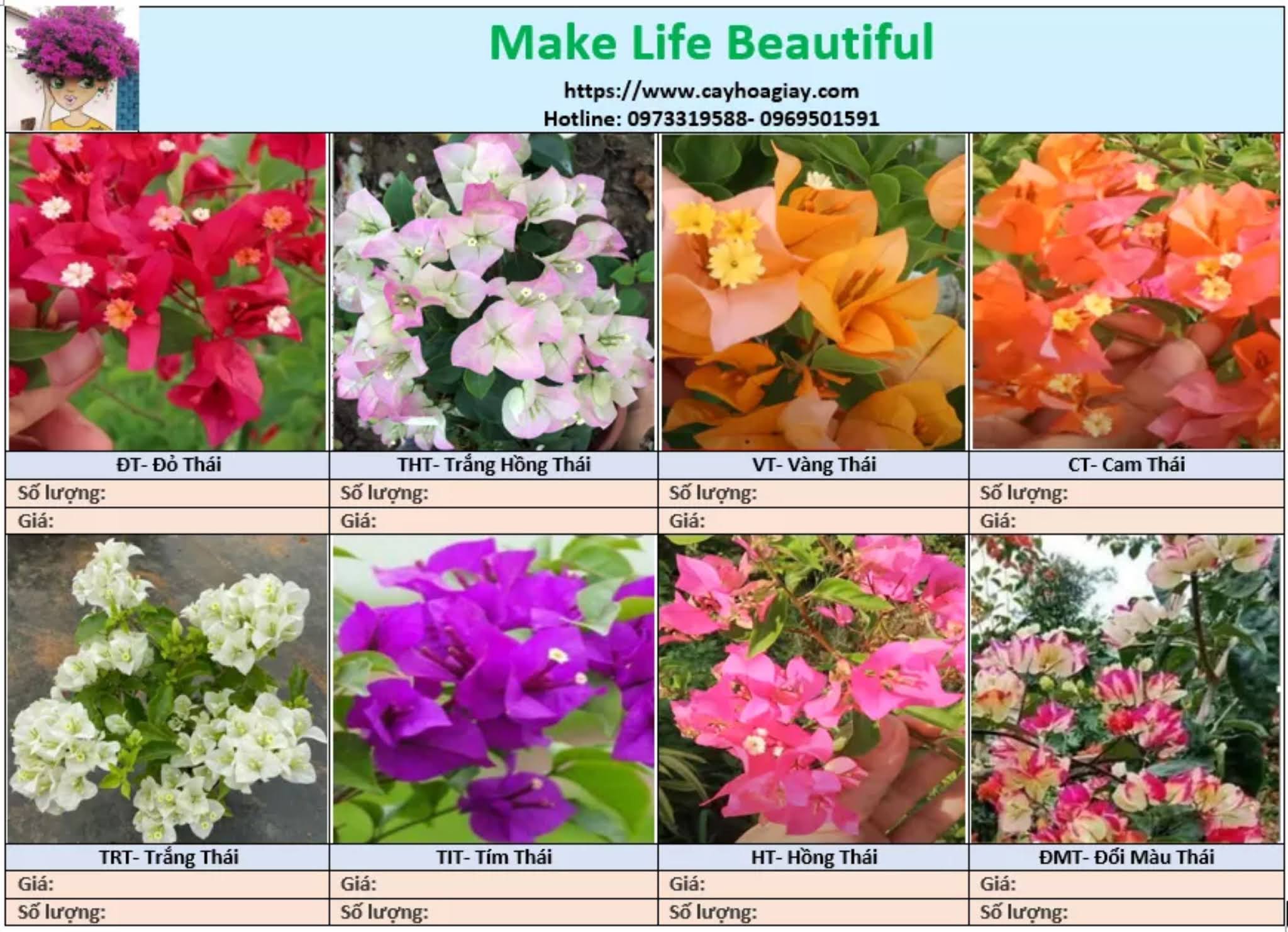 Chăm sóc hoa giấy